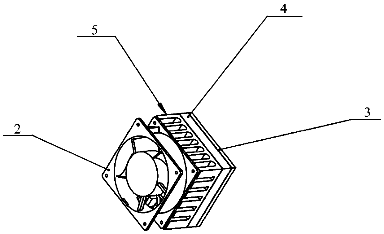 Fluorescence detector