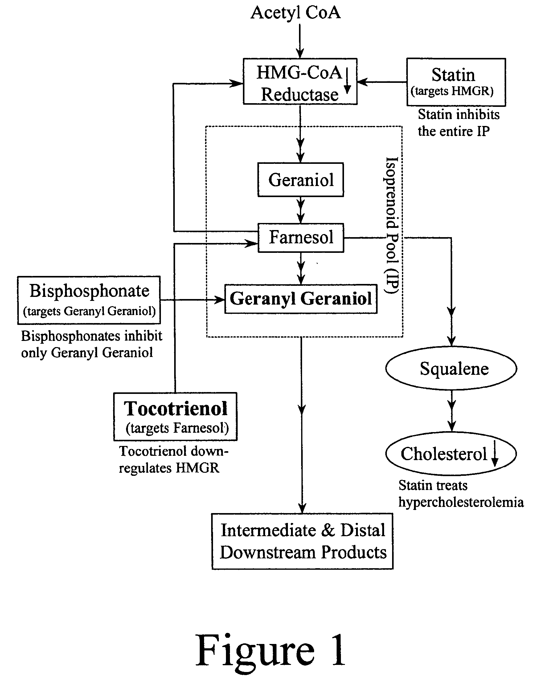 Annatto extract compositions, including geranyl geraniols and methods of use