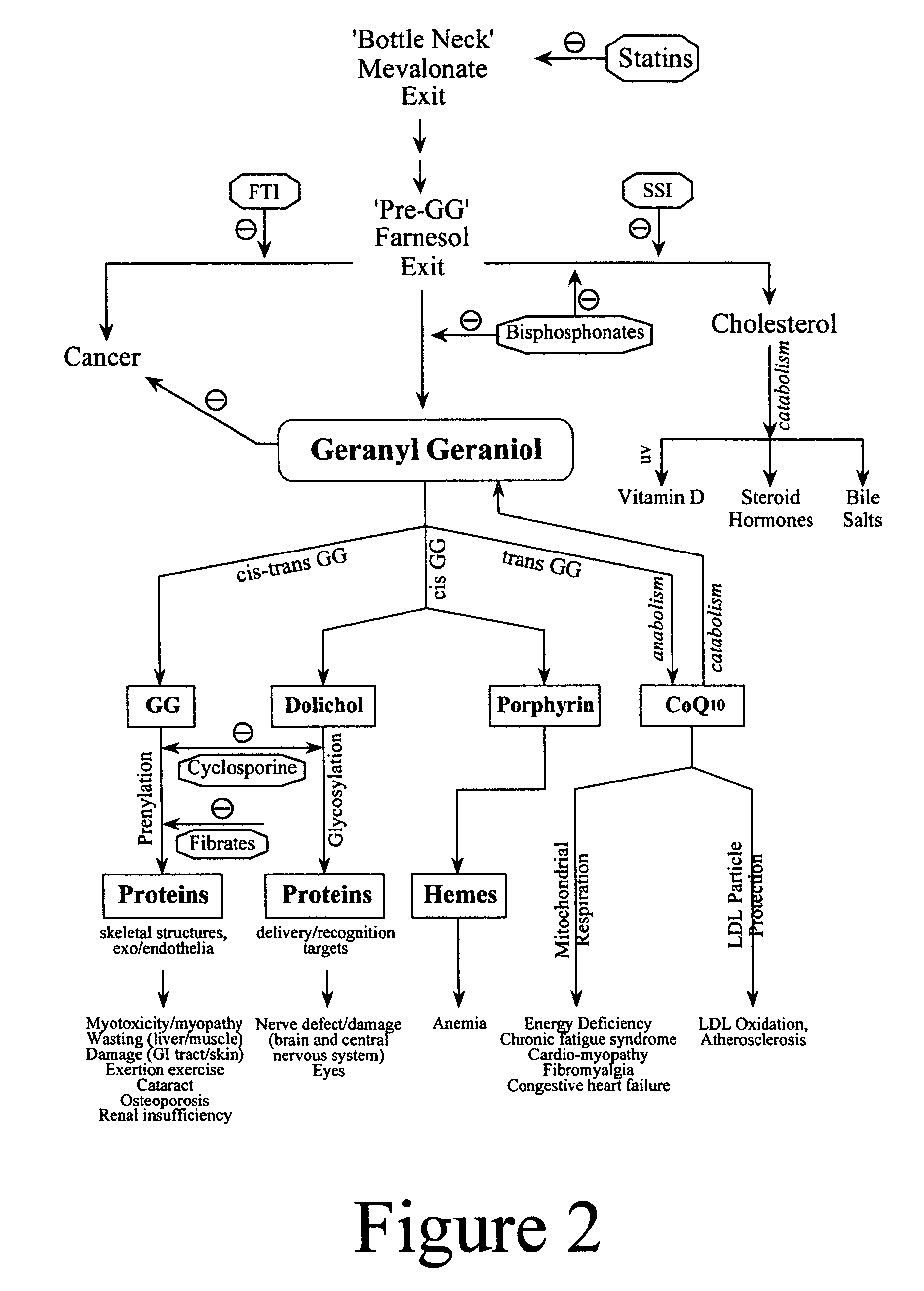 Annatto extract compositions, including geranyl geraniols and methods of use