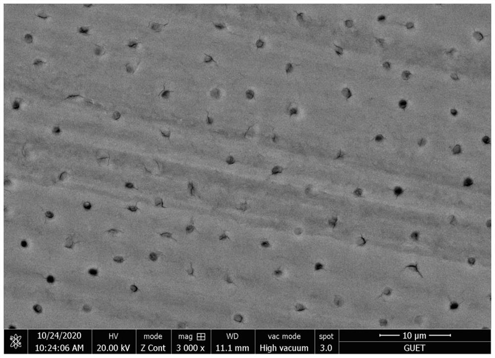 Chewing gum for promoting in-situ regeneration repair of soft and hard tissues of oral cavity and preparation method of chewing gum