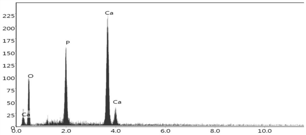 Chewing gum for promoting in-situ regeneration repair of soft and hard tissues of oral cavity and preparation method of chewing gum