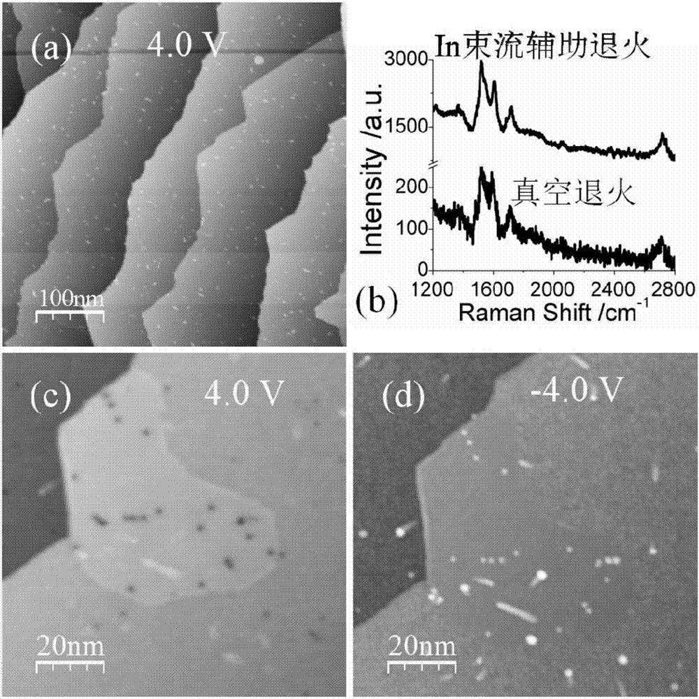 Preparation method of metal atom-doped large-area regular epitaxial graphene