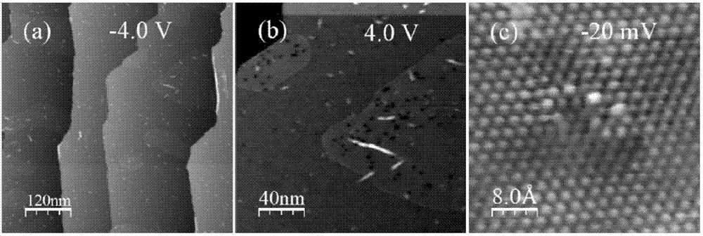 Preparation method of metal atom-doped large-area regular epitaxial graphene