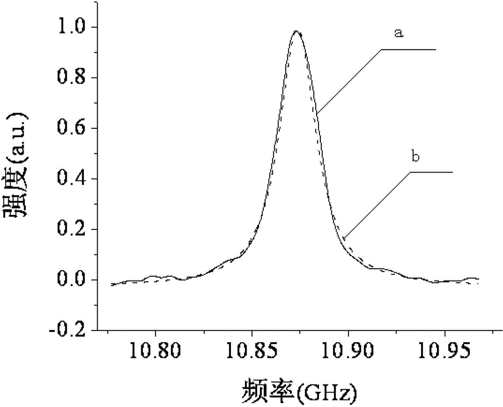 Device and method for measuring brillouin gain spectrum in non-scanning manner based on pumping-detection method