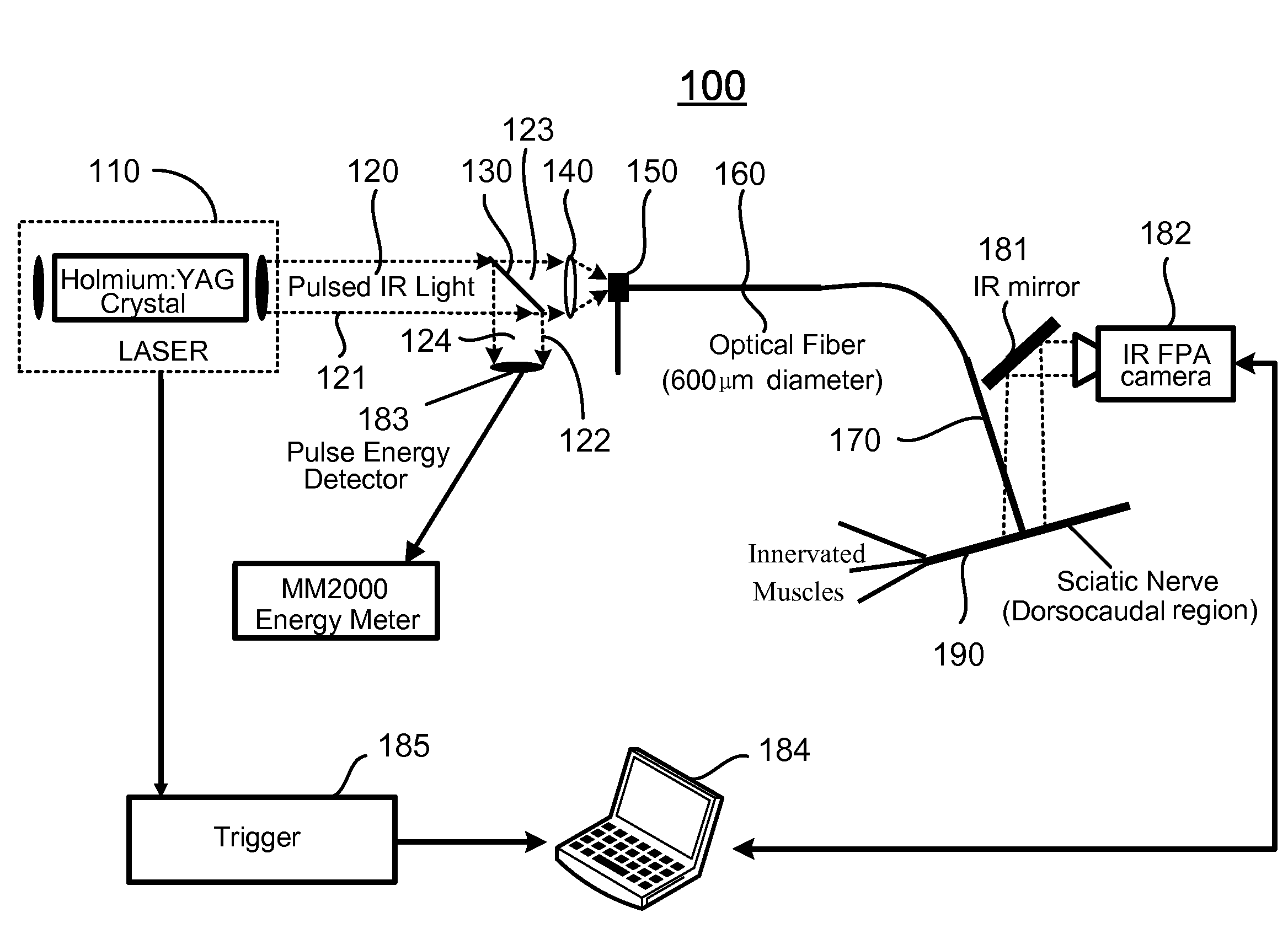 Apparatus and methods for optical stimulation of neural tissues