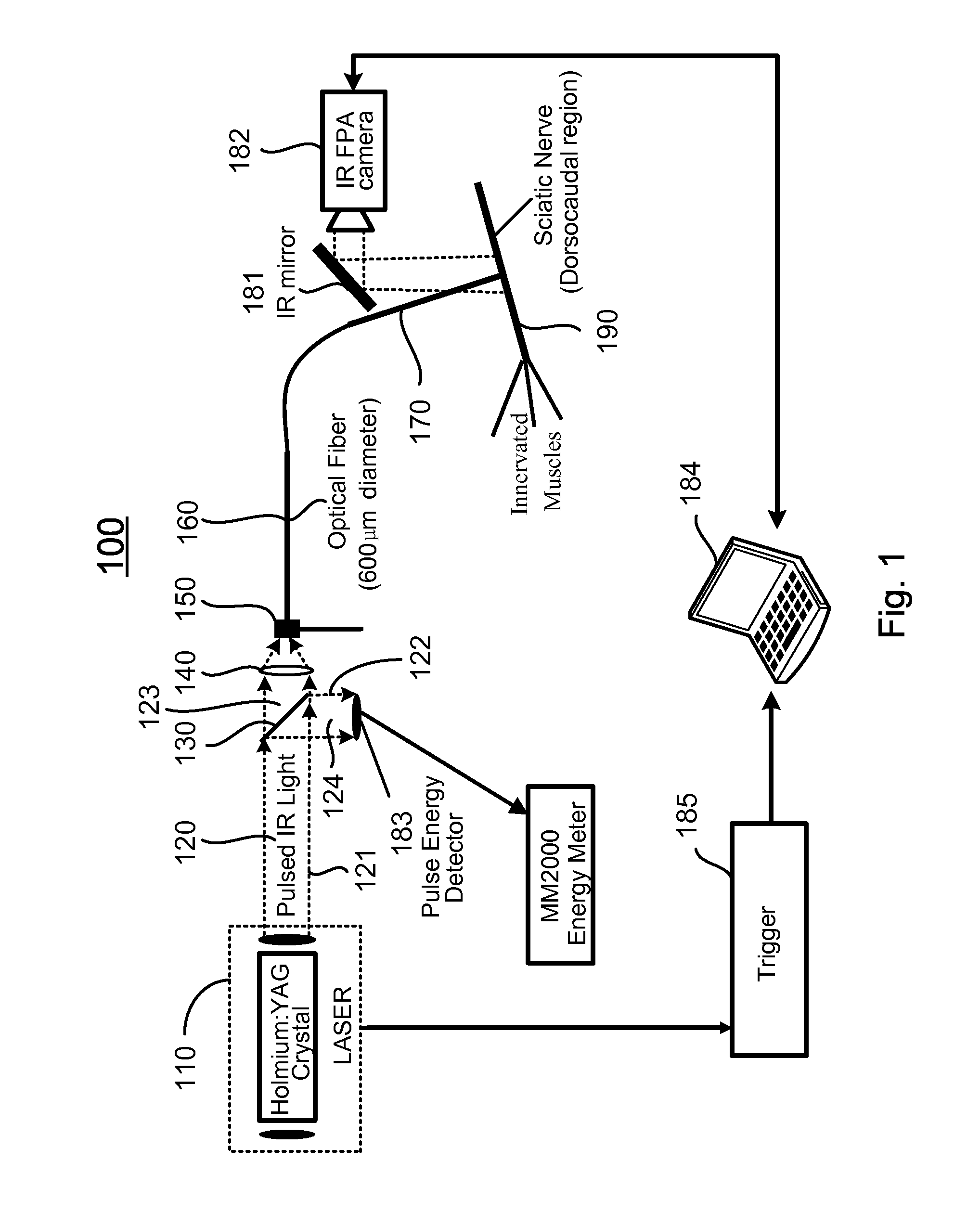 Apparatus and methods for optical stimulation of neural tissues