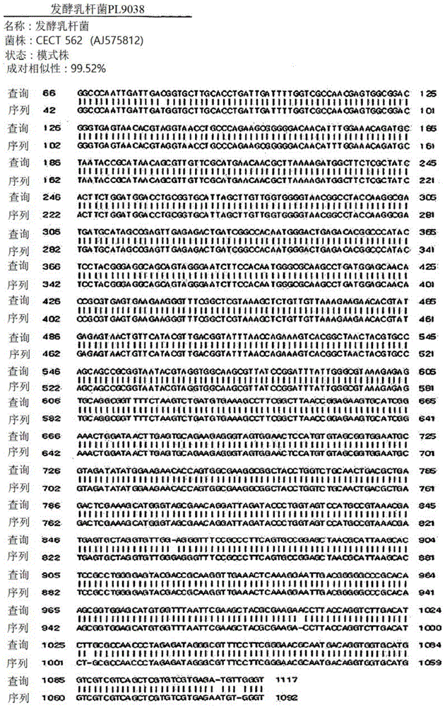 Novel lactic acid bacterium lactobacillus fermentum isolated from adults in longevity village, helpful for defecation