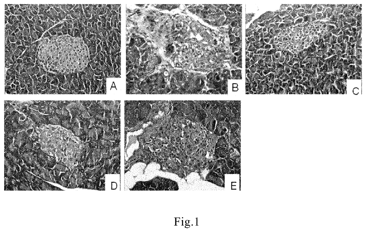 Isolated saposhnikovia divaricata polysaccharide and use thereof