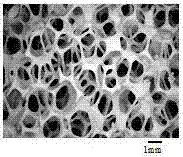 A kind of honeycomb ceramic plate load tio  <sub>2</sub> ——Preparation process of ncp immobilized photocatalyst