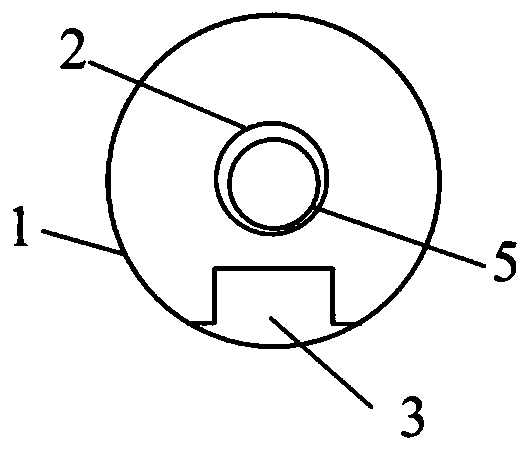 An Interventional Oxygen Partial Pressure-Temperature Composite Probe