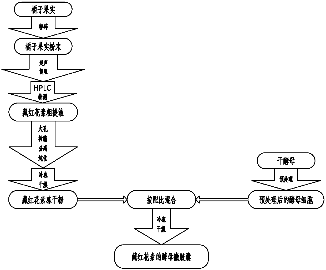 A kind of yeast microcapsule of crocin and preparation method thereof