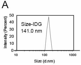 A nano-drug delivery system based on low-generation pamam dendrimer loaded with disulfiram and photosensitizer indocyanine green and its application