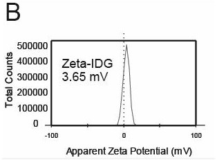 A nano-drug delivery system based on low-generation pamam dendrimer loaded with disulfiram and photosensitizer indocyanine green and its application