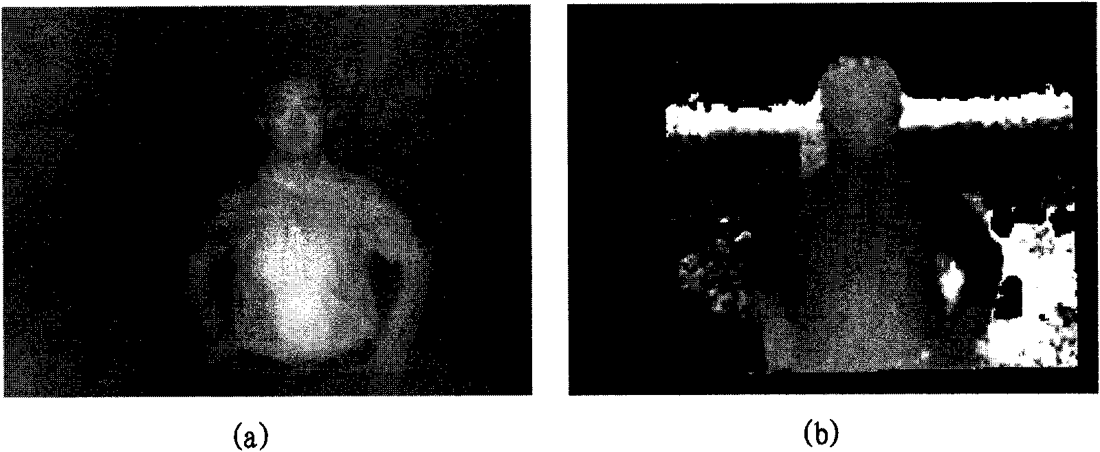 Target analysis method and device based on intensity image and range image