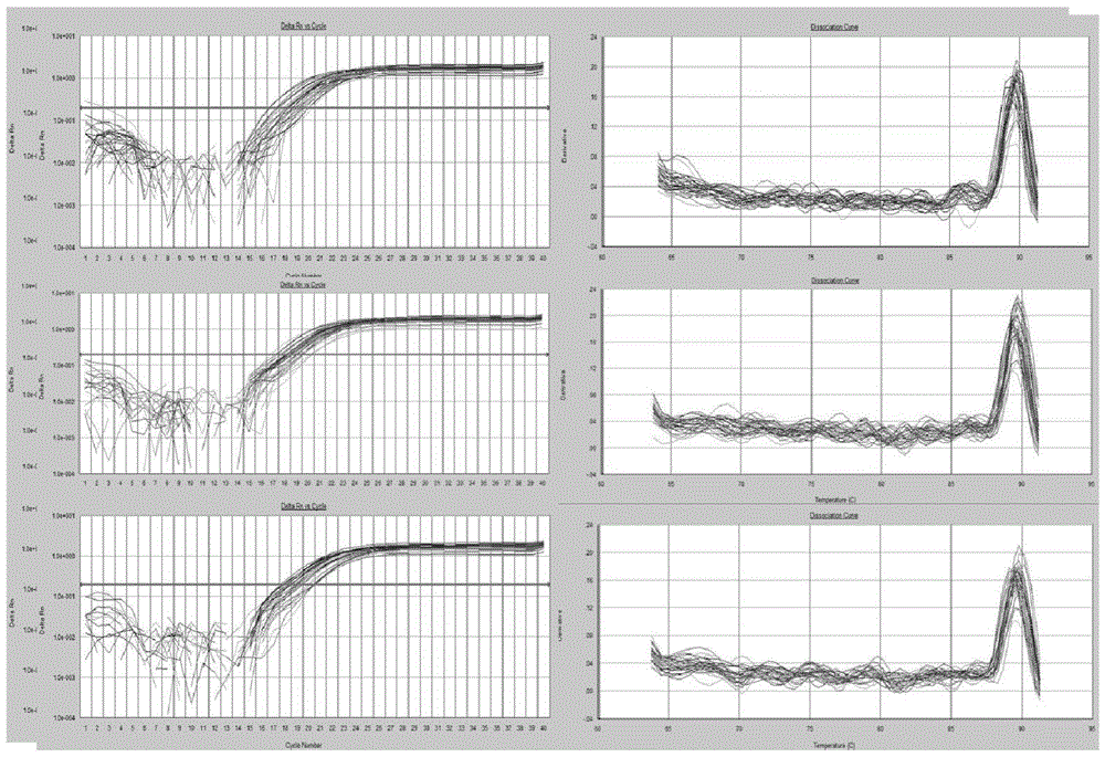 Method for rapidly evaluating nitrogen fixing capacity of root nodule nitrogen fixation symbionts of leguminous plants