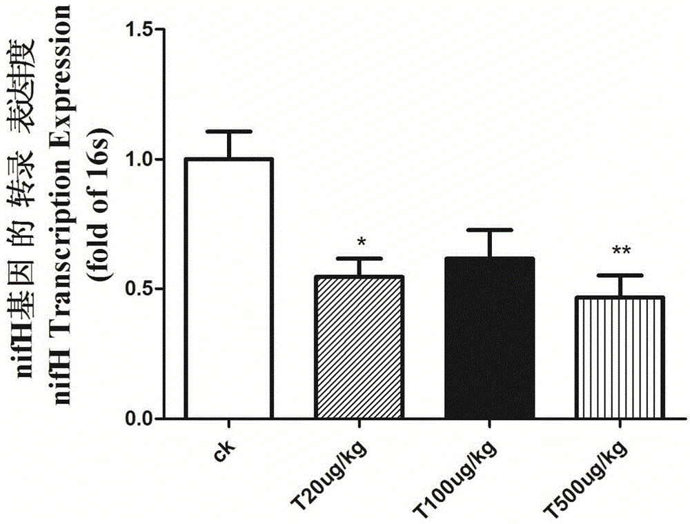 Method for rapidly evaluating nitrogen fixing capacity of root nodule nitrogen fixation symbionts of leguminous plants