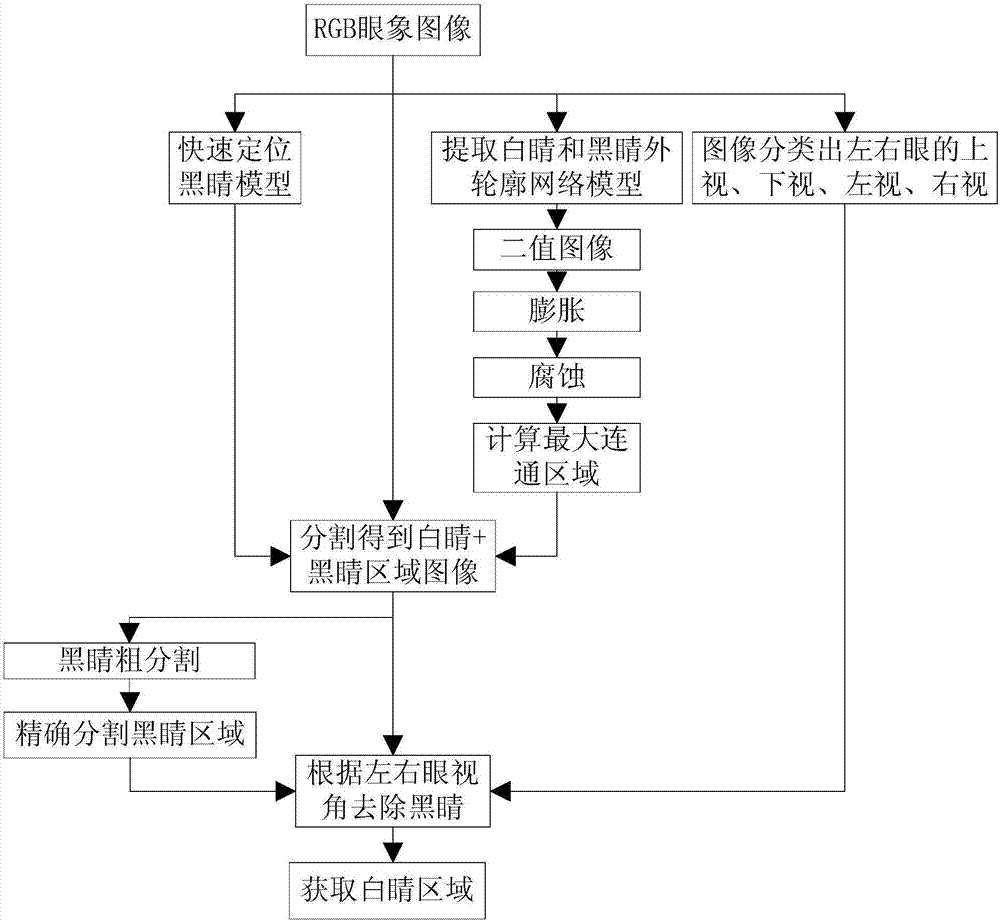 Complete extraction method of true color eye image graph white eye area