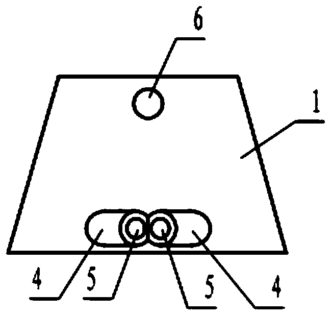 TARP (transoral anterior reduction plate) based guide template for axis anterior transpedicular fixation