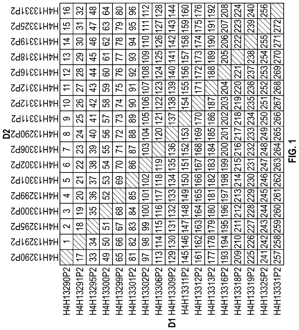 Methods of treating ocular cancer using Anti-met antibodies and bispecific antigen binding molecules that bind met