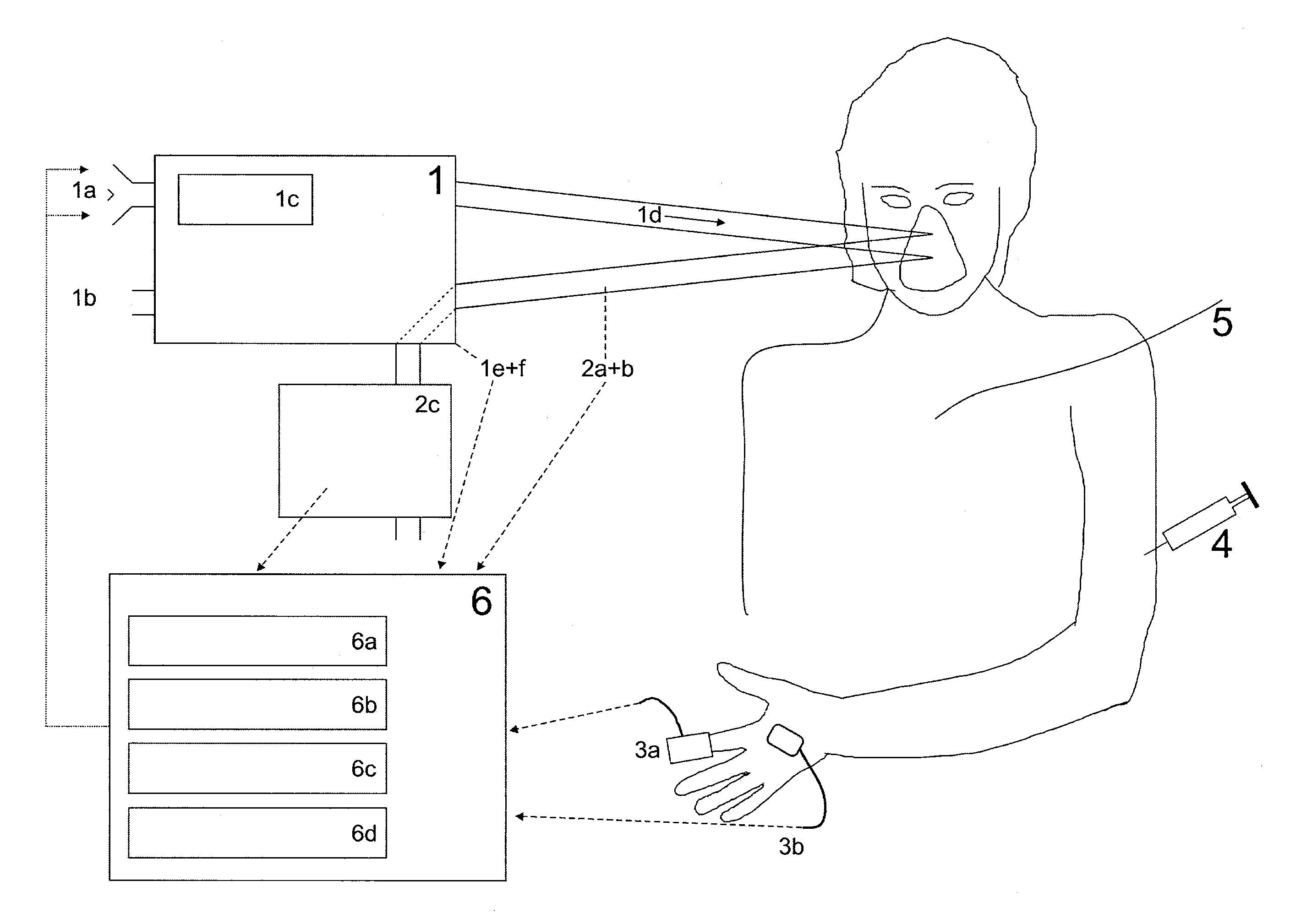 Automatic lung parameter estimator for measuring oxygen and carbon dioxide gas exchange