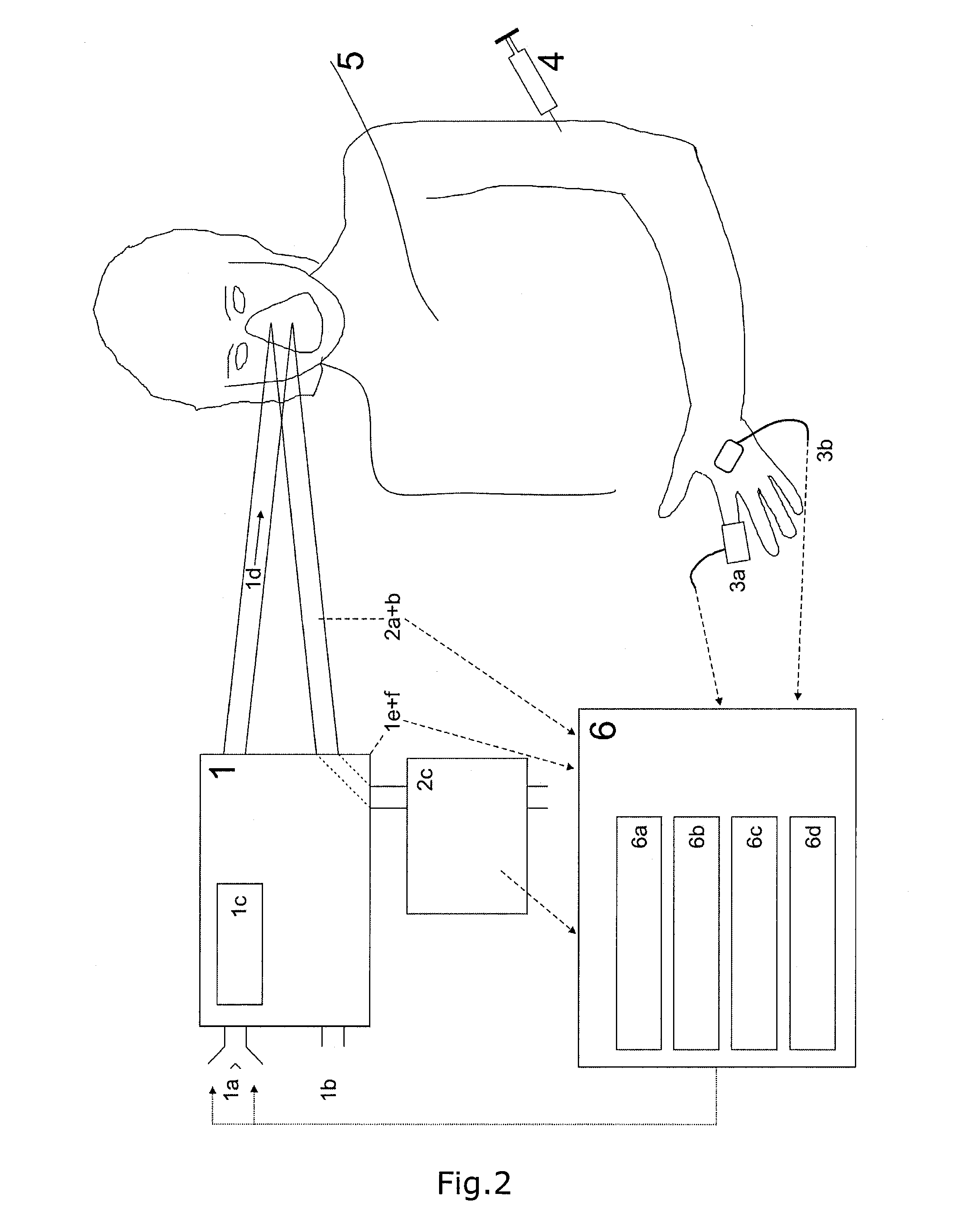 Automatic lung parameter estimator for measuring oxygen and carbon dioxide gas exchange