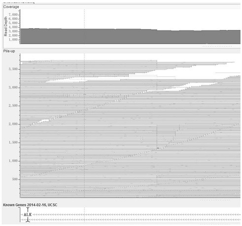 Circulating tumor DNA fusion detection method based on next-generation sequencing technology