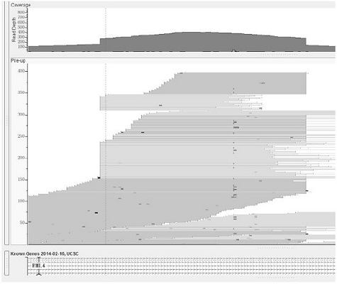 Circulating tumor DNA fusion detection method based on next-generation sequencing technology