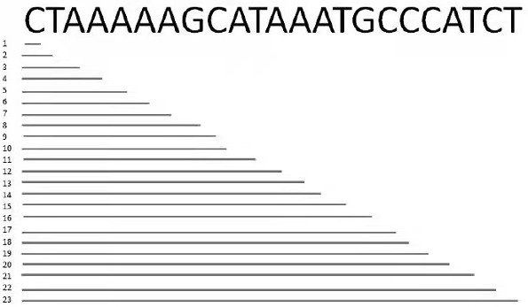 Circulating tumor DNA fusion detection method based on next-generation sequencing technology