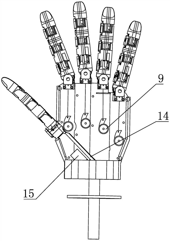 Tendon transmission full drive humanoid dexterous robotic hand