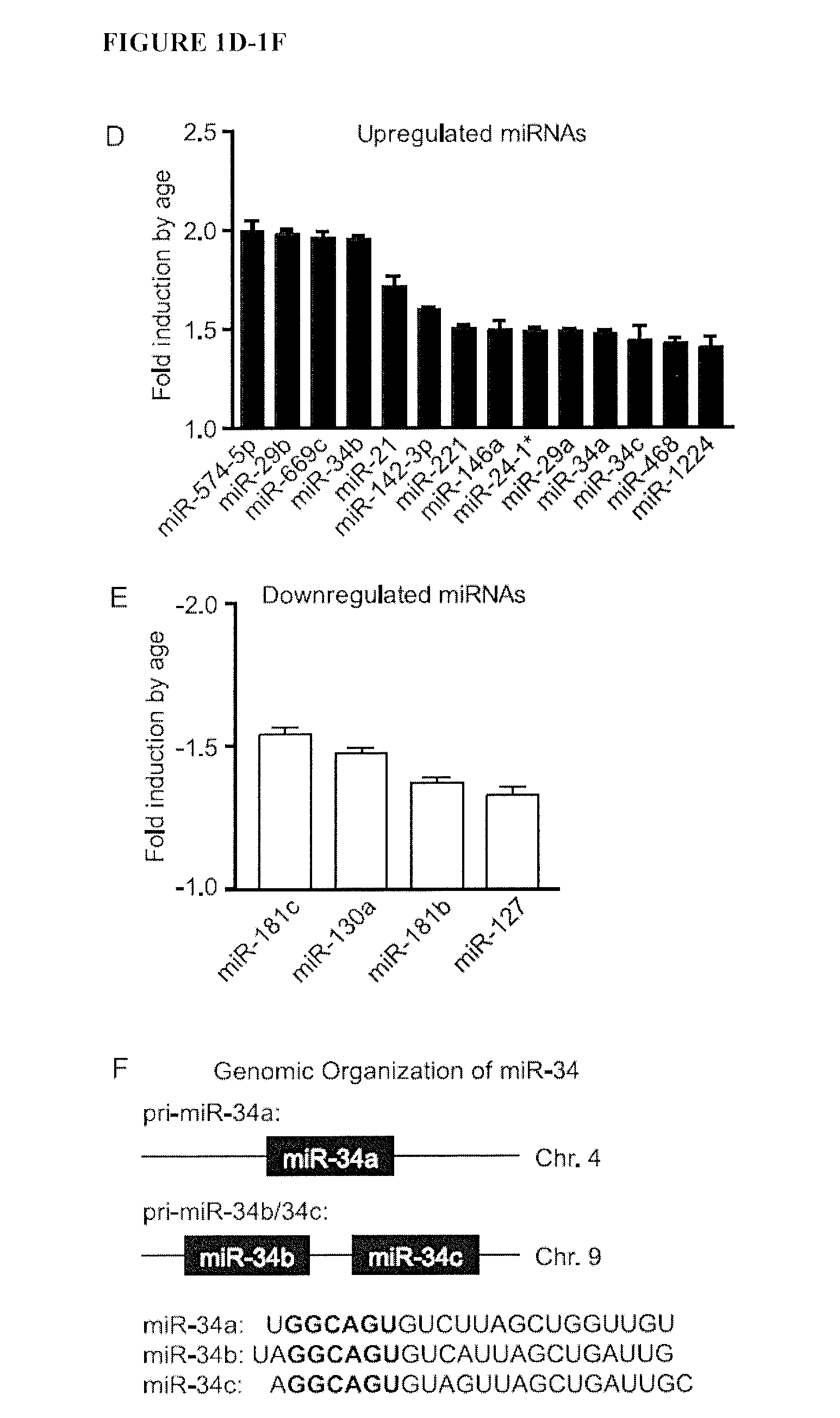 Micro-rna for the regulation of cardiac apoptosis and contractile function