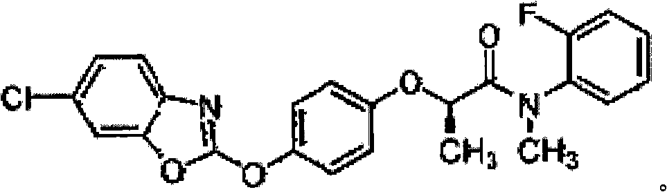 Herbicide composition and application thereof