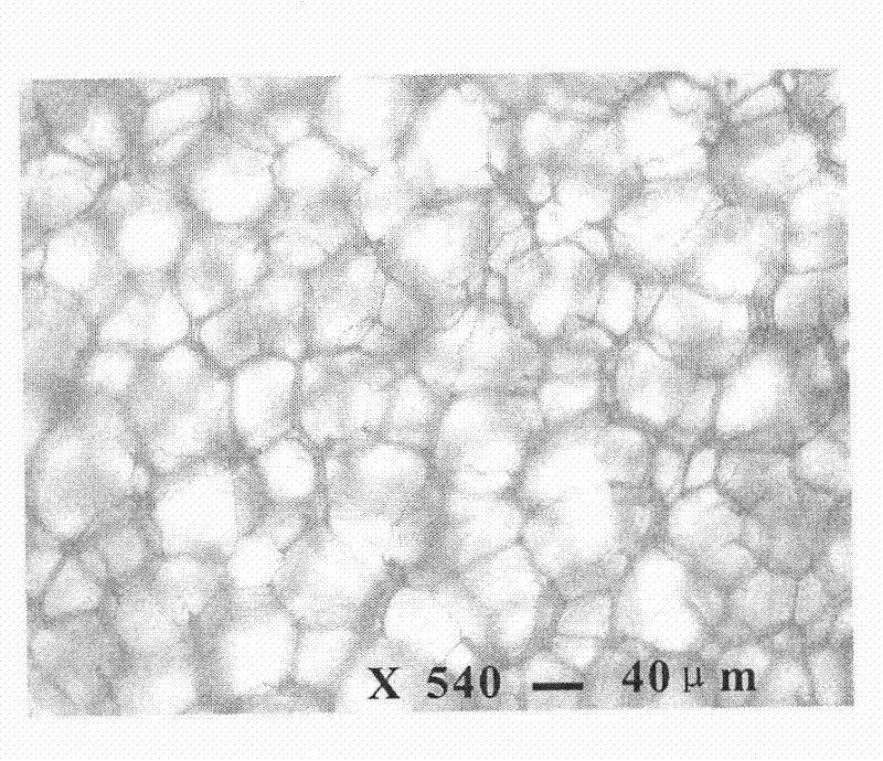 Crystalline high polymer physical foaming material preparation method