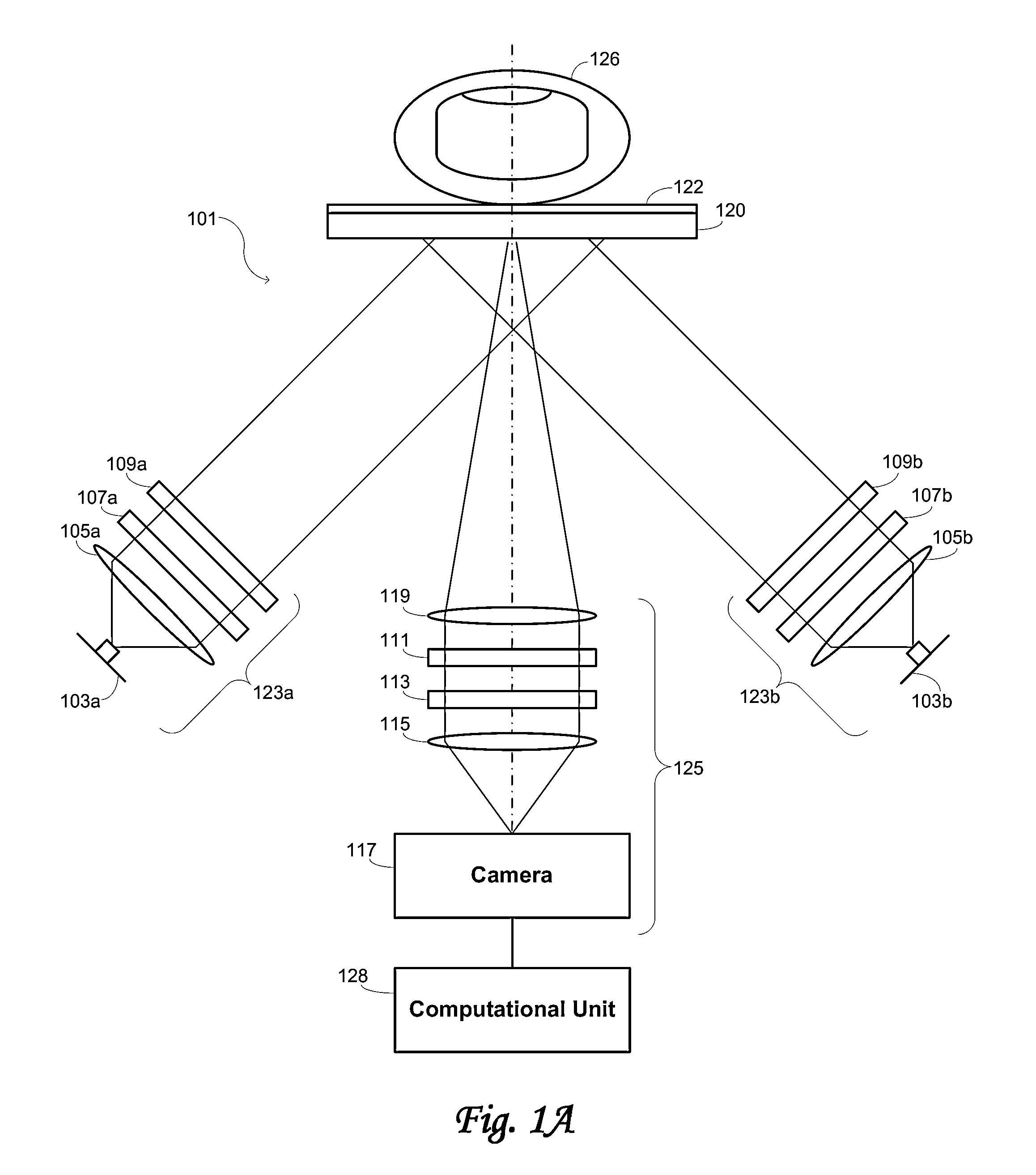 Methods and systems for estimating genetic characteristics from biometric measurements