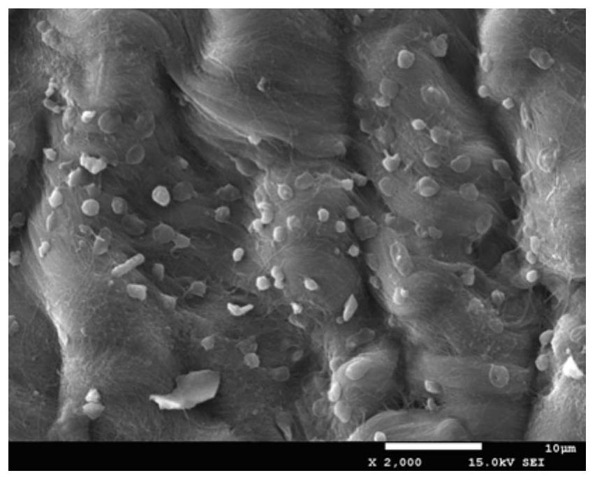 A kind of heart valve modified by hydrophilic composite network laminate and its preparation method