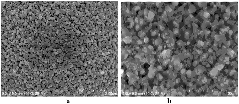 Surface double-coated lithium-enriched material and preparation method thereof