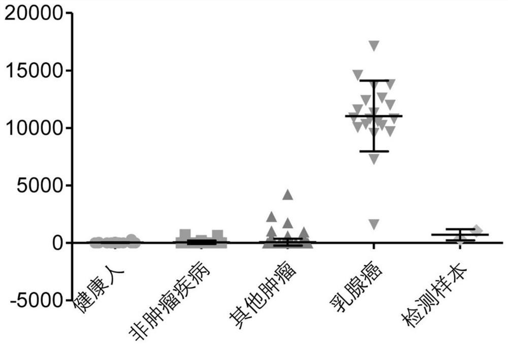 Peripheral blood TCR marker for breast cancer and detection kit and application thereof