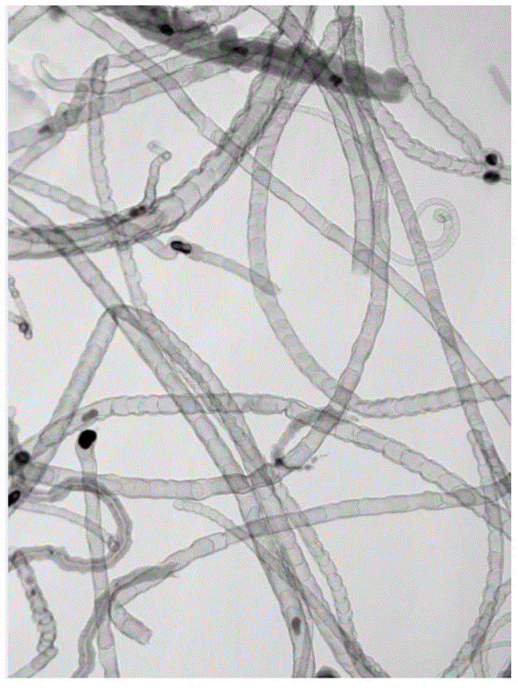 Method for preparation of bamboo-shaped carbon nanotube by ultrasonic atomization