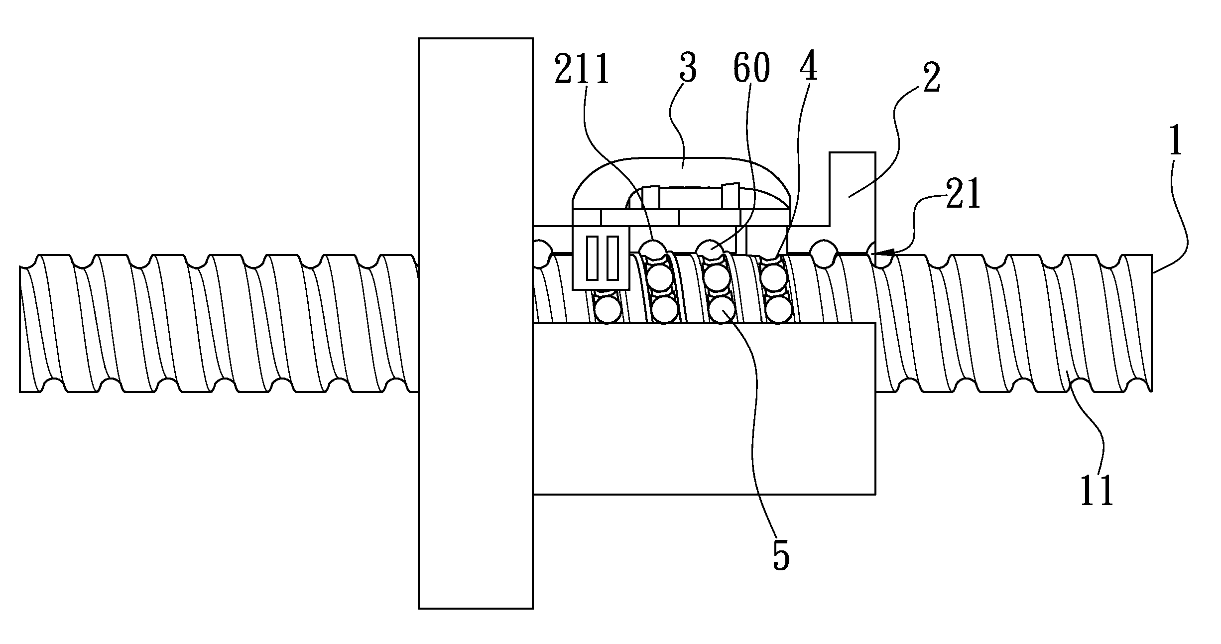 Motion Transmission Apparatus with a Chain