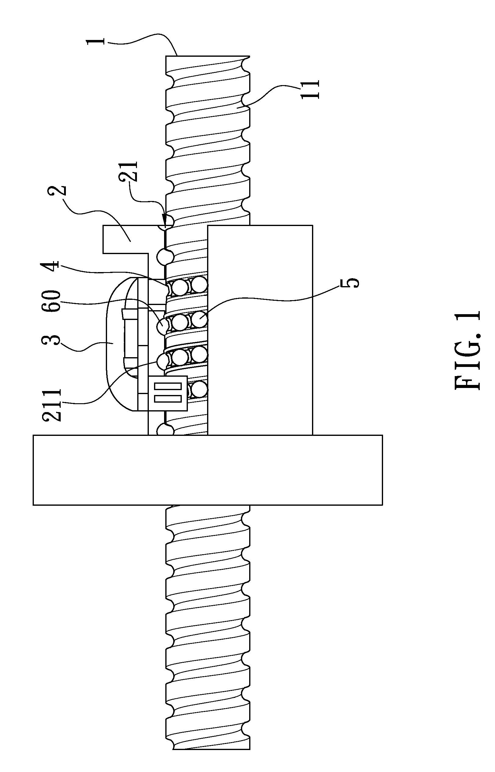 Motion Transmission Apparatus with a Chain