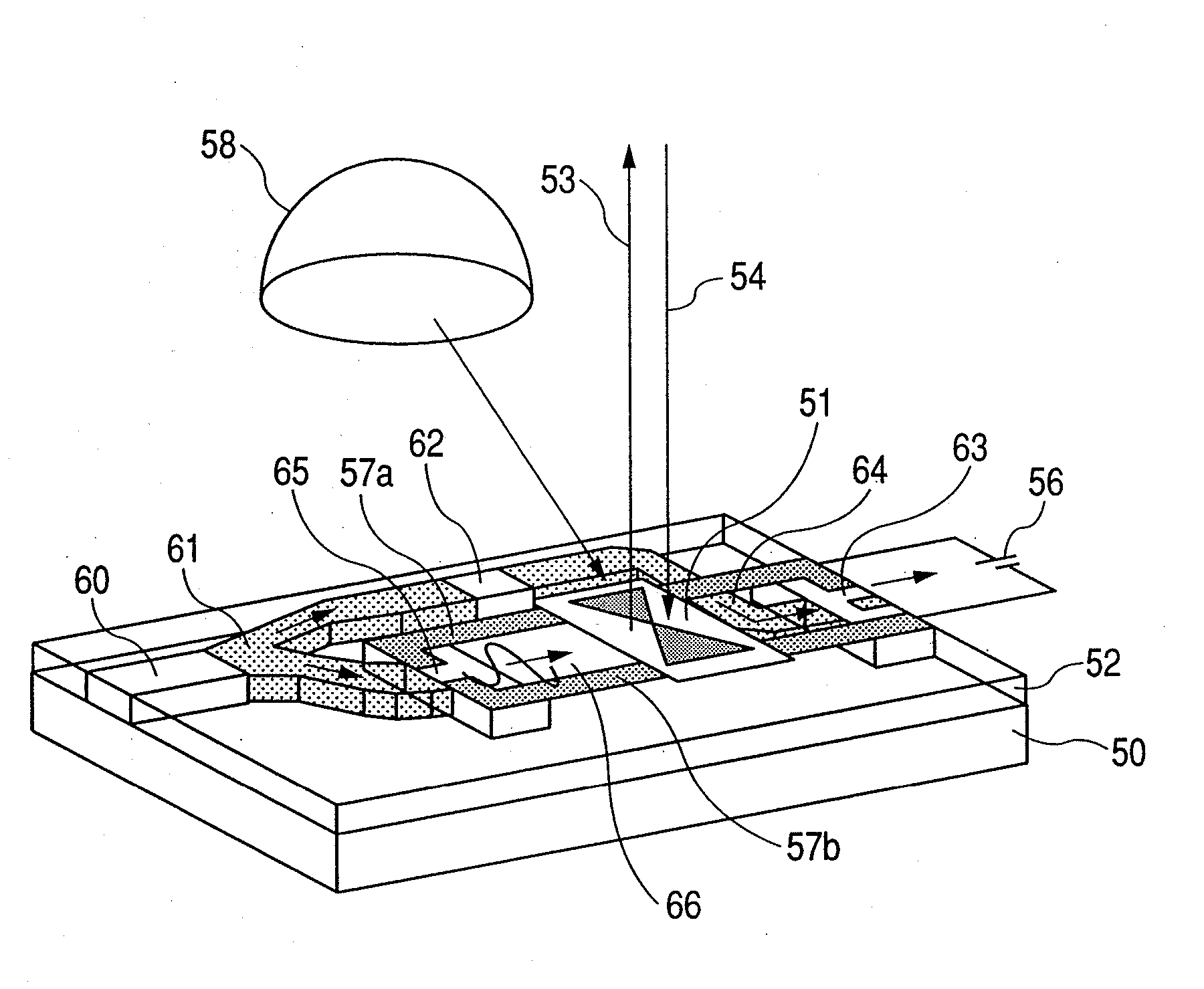 Biological information monitoring apparatus