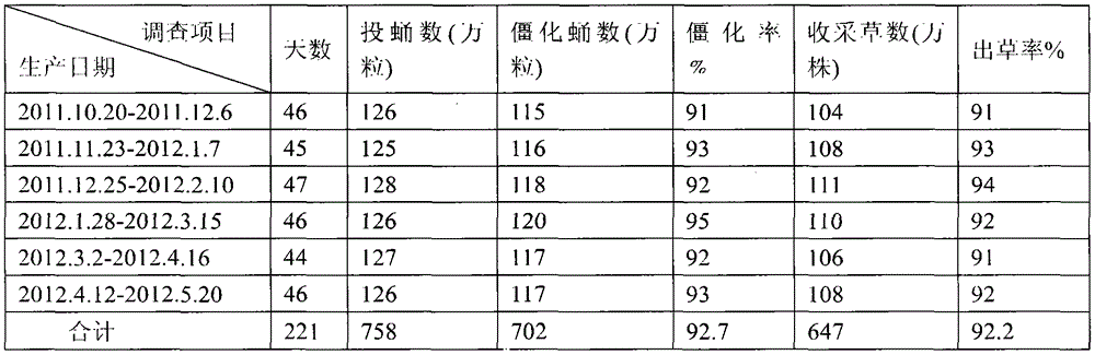 Large-scale cultivation method for cordyceps militaris