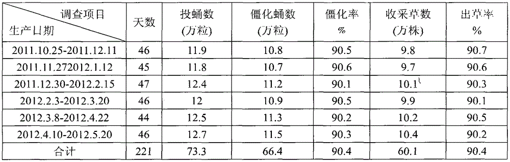 Large-scale cultivation method for cordyceps militaris