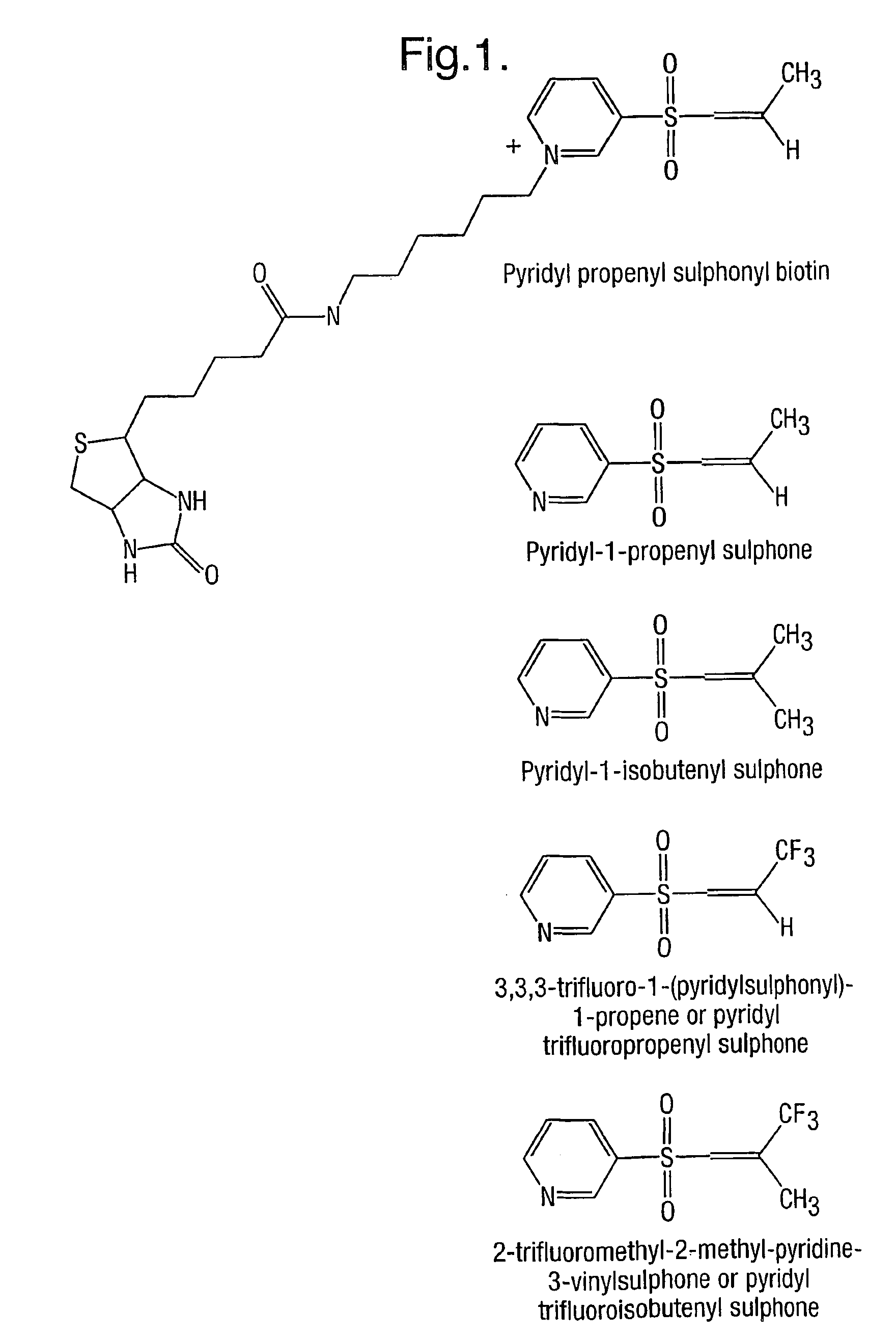 Method for characterizing polypeptides