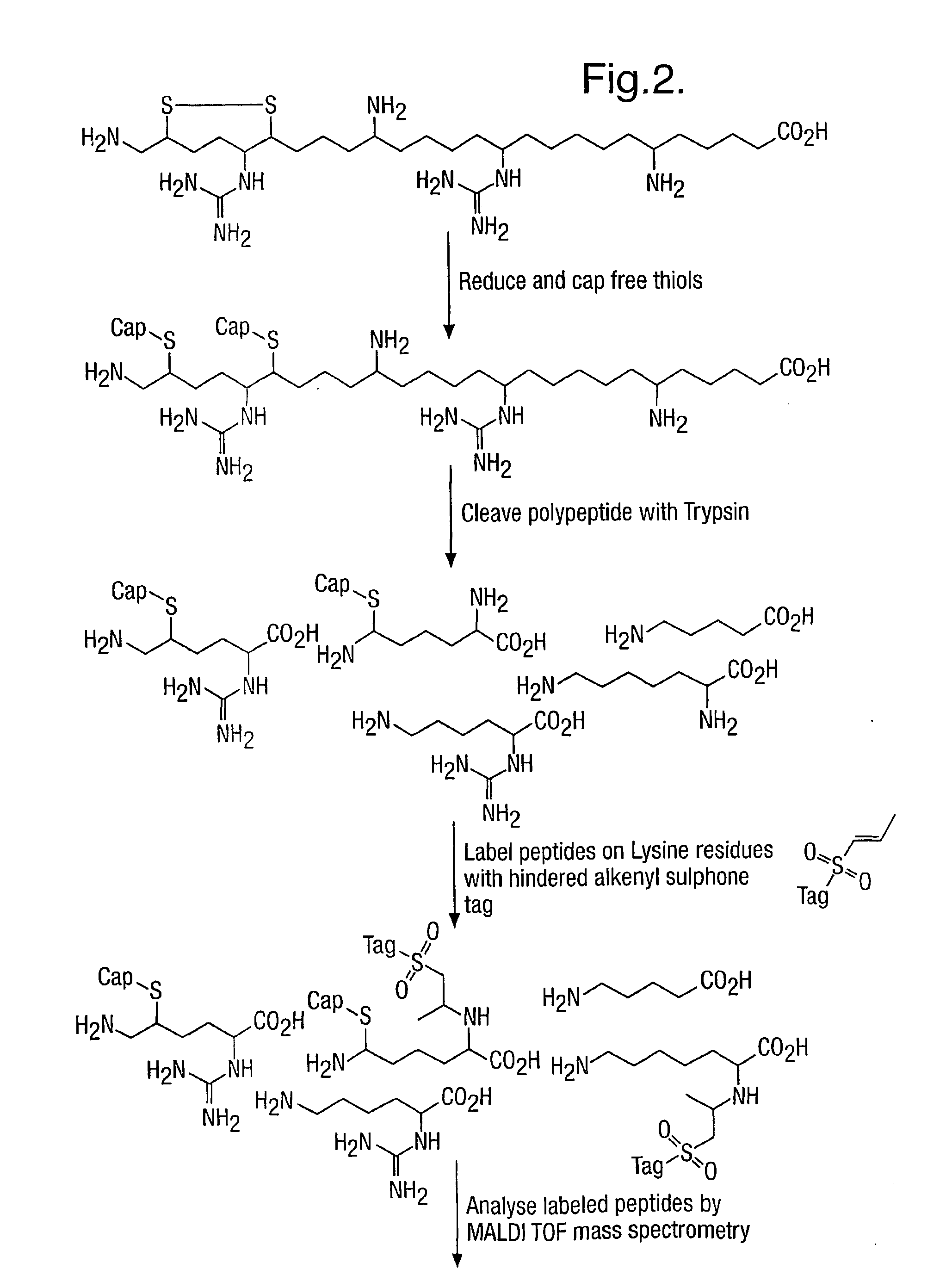 Method for characterizing polypeptides