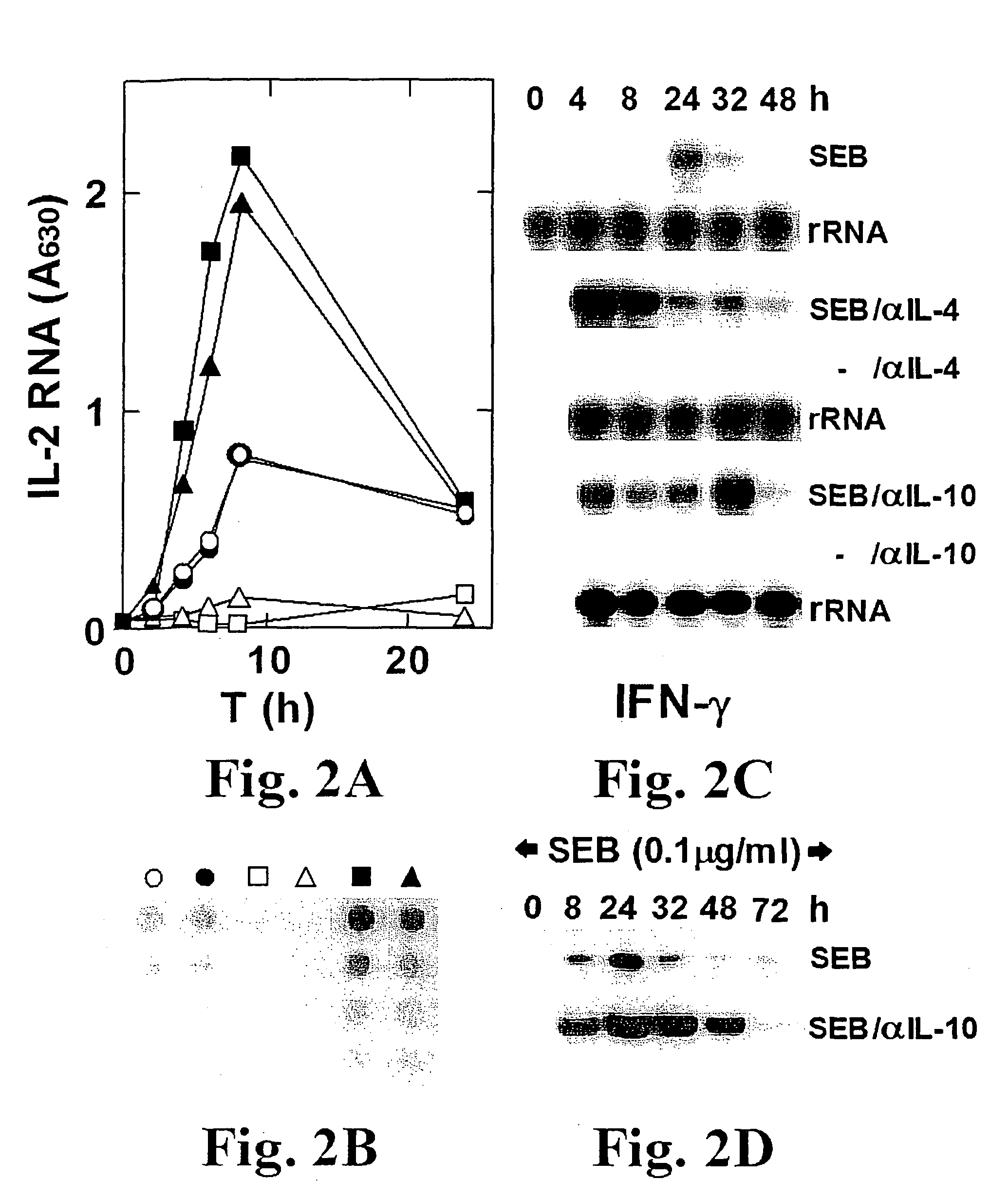 Broad-spectrum in-vivo effective superantigen toxin antagonists based on the interaction between CD28 and the superantigen and uses thereof