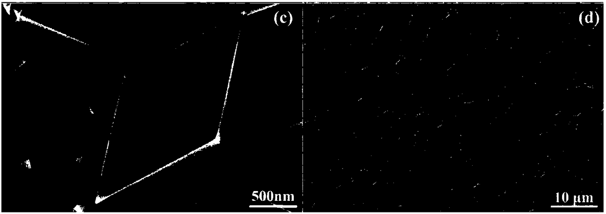 A self-driven all-solid-state glucose biosensor and its preparation method