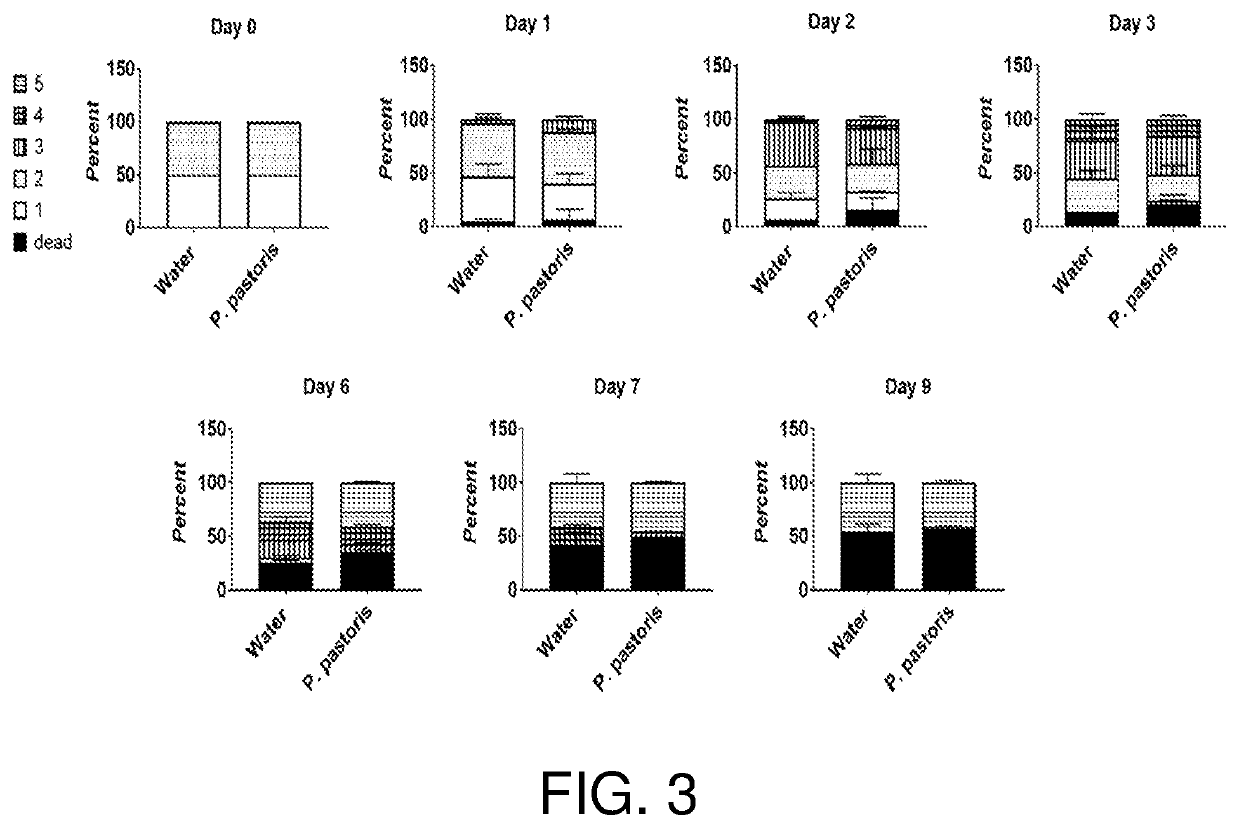 Compositions and related methods for modulating endosymbionts