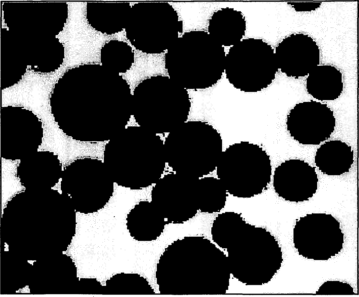 Homogeneous composite cellulose/titanium oxide powder microspheres and its preparing process