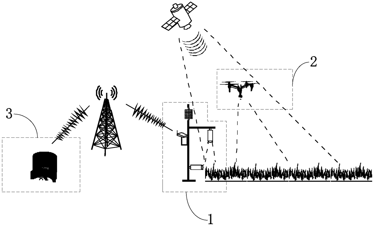 Air-ground integrated plant automatic detection system and method