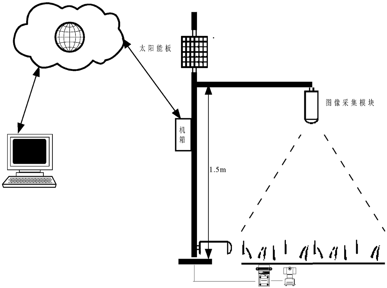 Air-ground integrated plant automatic detection system and method